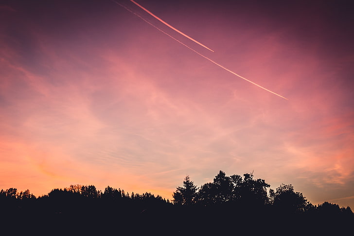 foto de silueta de árboles, puesta de sol, cielo, Fondo de pantalla HD