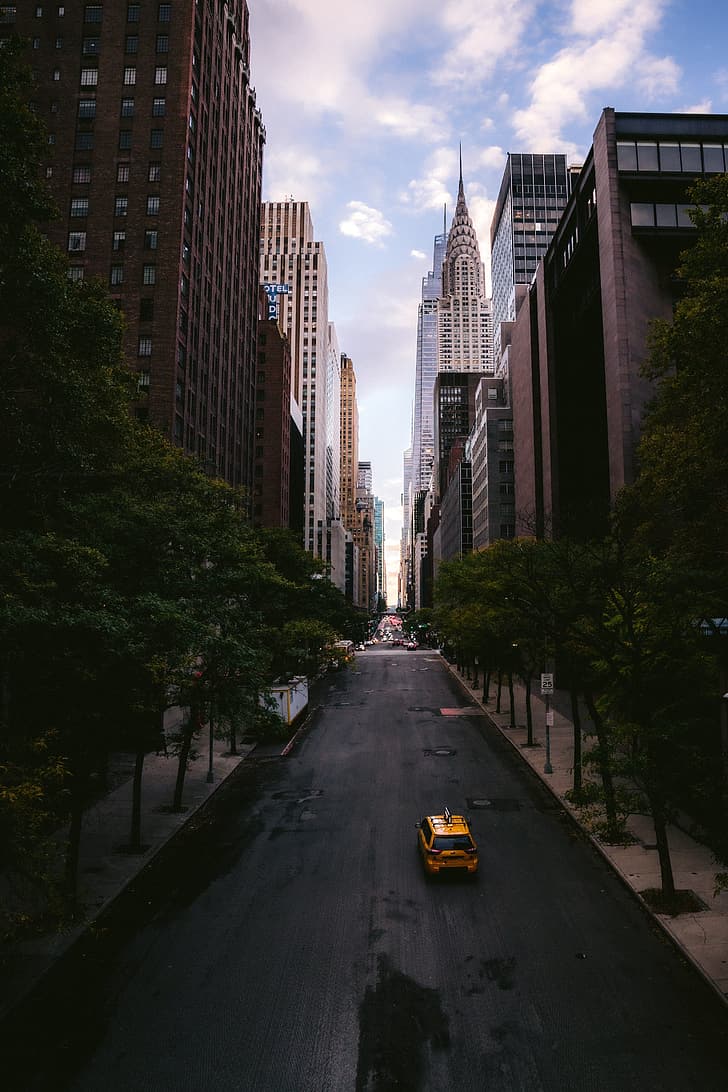 New York City, byggnad, skyskrapa, gata, träd, bil, taxi, vertikal, porträttvisning, HD tapet, telefon tapet