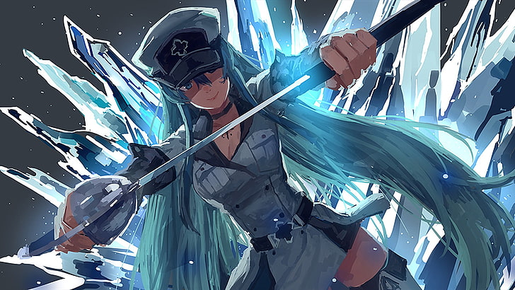 синий волосатый женский персонаж аниме держит меч цифровые обои, Esdeath, Akame ga Kill !, аниме, аниме девушки, лед, HD обои