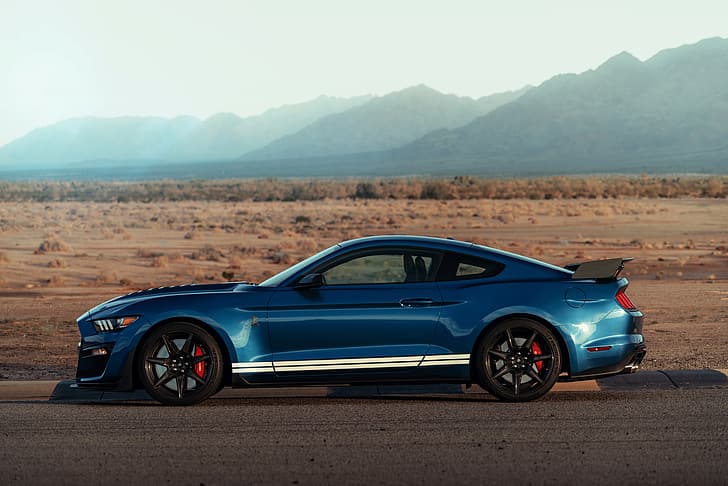 blau, Mustang, Ford, Shelby, GT500, Seitenansicht, 2019, HD-Hintergrundbild