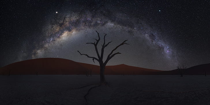 Earth, Desert, Dune, Namibia, Night, Sand, Starry Sky, Tree, HD wallpaper