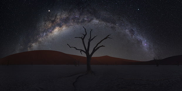 Земя, пустиня, дюна, Намибия, нощ, пясък, звездно небе, дърво, HD тапет HD wallpaper