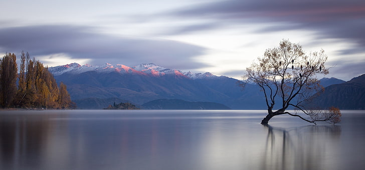 snow-capped mountain, mountains, lake, tree, New Zealand, panorama, water surface, Lake Wanaka, Lone Tree, HD wallpaper