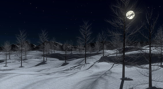 Vinter midnatt 3D, trädgren, konstnärlig, 3D, måne, mörk, natur, landskap, vinter, natt, vit, träd, berg, ljus, scen, skog, stjärnor, kall, jul, snö, Xmas, utomhus, snöflinga, semester , Säsong, väder, frost, månsken, januari, HD tapet HD wallpaper