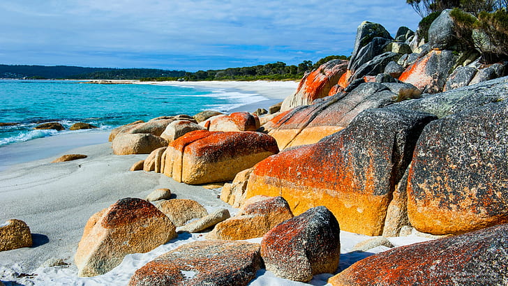 Bay of Fire, Tasmania, Australia, Oceania, Tapety HD