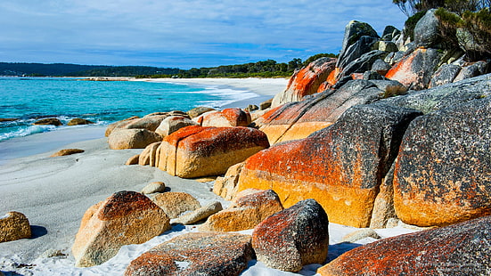 Bahía de fuego, Tasmania, Australia, Oceanía, Fondo de pantalla HD HD wallpaper