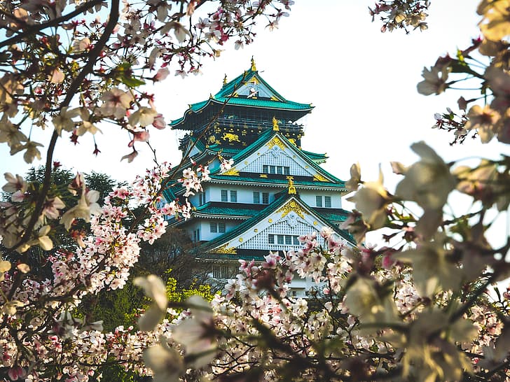 Japon, Osaka, Château d'Osaka, château, Fond d'écran HD