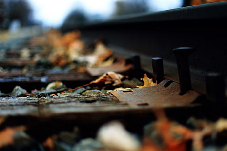 chemin de fer brun, voie ferrée, macro, profondeur de champ, chemin de fer, feuilles, Fond d'écran HD HD wallpaper