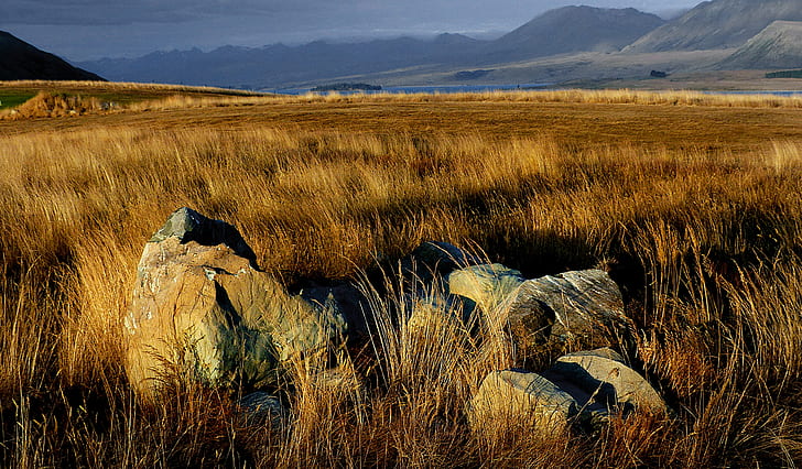 roches grises sur champ brun pendant la journée, nz, nz, crépuscule, les Downs, NZ, gris, roches, champ brun, jour, lumix FZ200, domaine public, dédicace, CC0, géolocalisé, photos, nature, paysage, montagne, paysages, Fond d'écran HD