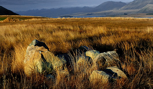 صخور رمادية على حقل بني في النهار ، نيوزيلندي ، نيوزيلندي ، الغسق ، داونز ، نيوزيلندة ، رمادي ، الصخور ، الحقل البني ، النهار ، لوميكس FZ200 ، المجال العام ، الإهداء ، CC0 ، العلامات الجغرافية ، الصور ، الطبيعة ، المناظر الطبيعية ، الجبل ، المناظر الطبيعية، خلفية HD HD wallpaper