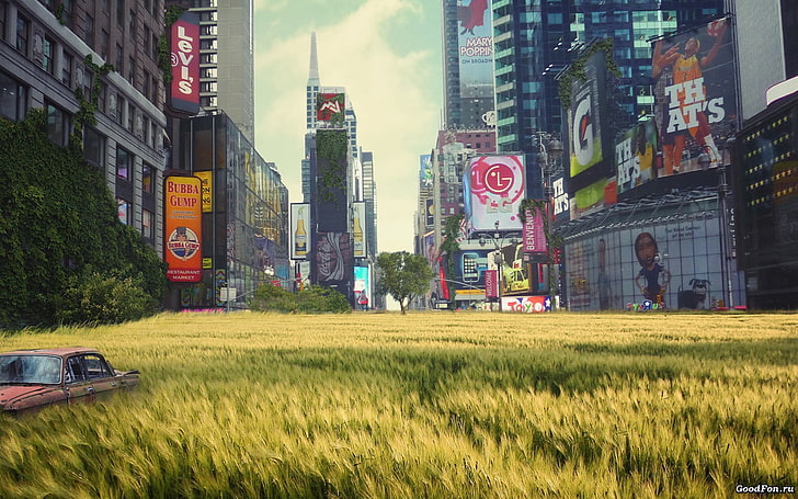 green grass, New York City, overgrown, urban decay, artwork, advertisements, HD wallpaper