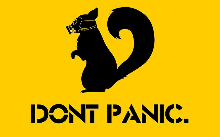 Dont Panic text, minimalism, yellow, humor, squirrel, HD wallpaper