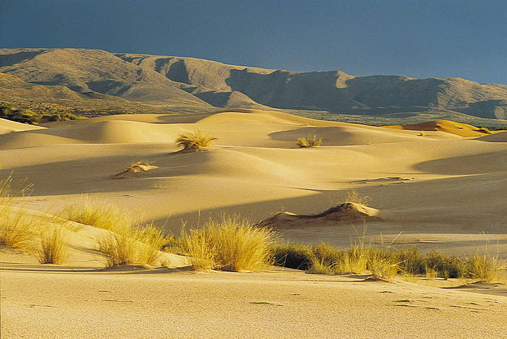 désert pendant la journée, witsand, afrique, witsand, afrique, Witsand, Afrique du Sud, jour, Northern Cape, dunes, désert de sable, touristes, africain, tourisme, désert, dunes de sable, sable, nature, sec, paysage, montagne, Fond d'écran HD