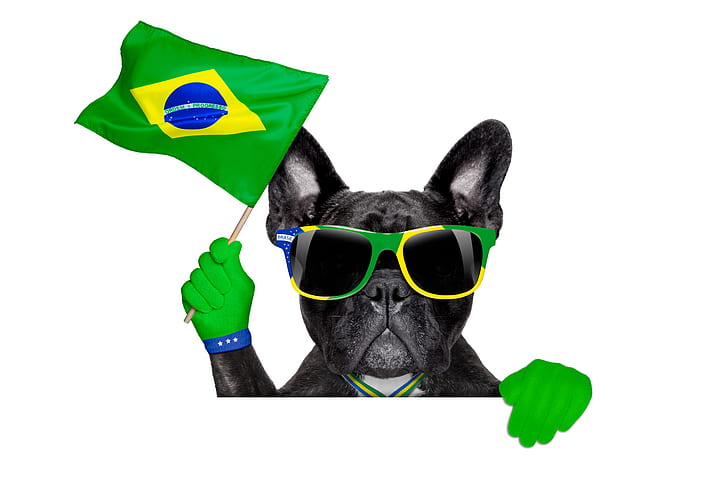 dog, glasses, logo, football, flag, funny, cool, World Cup, Brasil, FIFA, 2014, HD wallpaper
