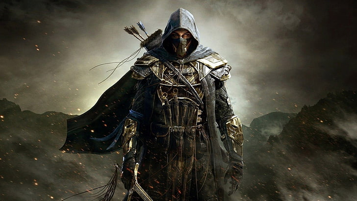 هودي بسحاب كامل باللونين الأسود والرمادي ، The Elder Scrolls Online، خلفية HD