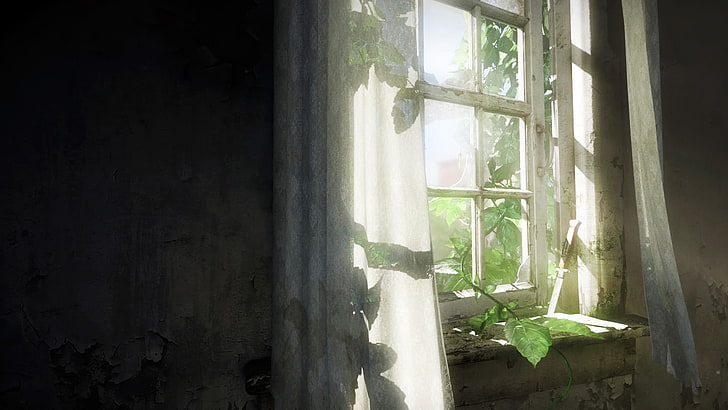 green plant near white curtain, The Last of Us, window, video games, HD wallpaper