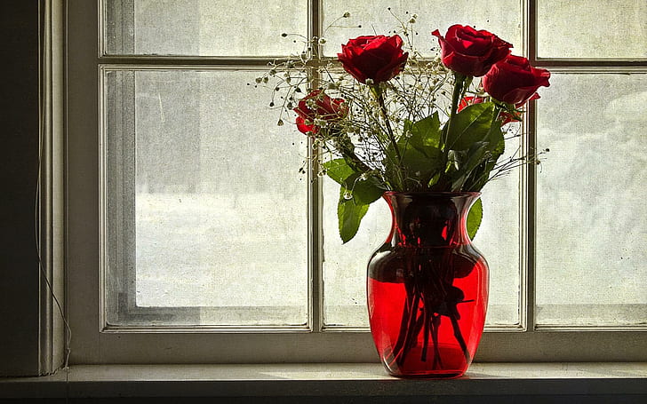 Rose Vaso Fiori finestra, quattro rose rosse con vaso di fiori in vetro rosso, fiori, rose, vaso, finestra, Sfondo HD