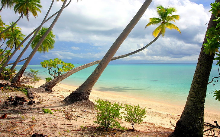 Natur, Landschaft, Strand, Palmen, Insel, Weiß, Sand, tropisch, Meer, Wolken, Sträucher, Sommer, Französisch-Polynesien, Türkis, Wasser, HD-Hintergrundbild