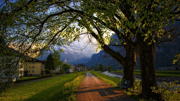 grüne Wiese, Natur, Bäume, Berge, Haus, Schotterweg, HD-Hintergrundbild