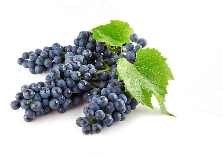 baies bleues, raisins, fruits, baies, branche, Fond d'écran HD