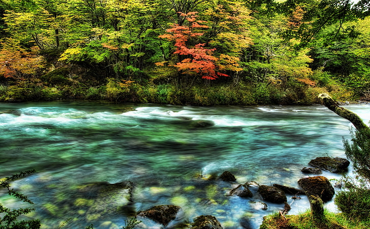 The River Passed The Quivering Forest In The..., brown and green trees, Nature, Rivers, Travel, Landscape, Autumn, Green, Scenery, Journey, Trees, Mountain, River, Trip, World, Waves, Lake, Dramatic, Scene, Forest, Water, Amazing, Colors, Life, Stream, Cold, Argentina, Chile, Moss, Rocks, Peace, Season, Fall, Wonderland, Patagonia, Coast, Nice, Brook, Wonderful, south america, Awesome, Waning, movement, capture, El Chalten, Andes, glacial, marvelous, Portfolio, riverbank, Quivering, waxing, stram, Rich, pristine, HD wallpaper