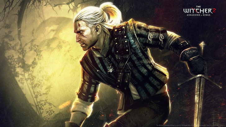 The Witcher poster, The Witcher 2 Assassins of Kings, The Witcher, HD wallpaper