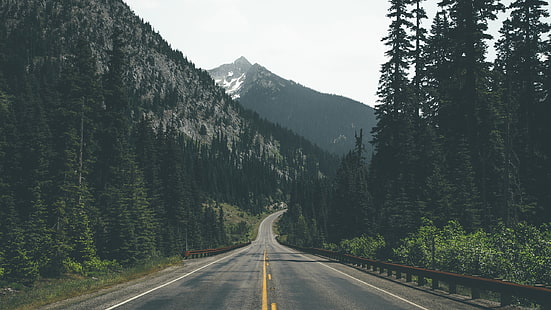 estrada cinza e árvores verdes, fotografia, floresta, montanhas, estrada, HD papel de parede HD wallpaper