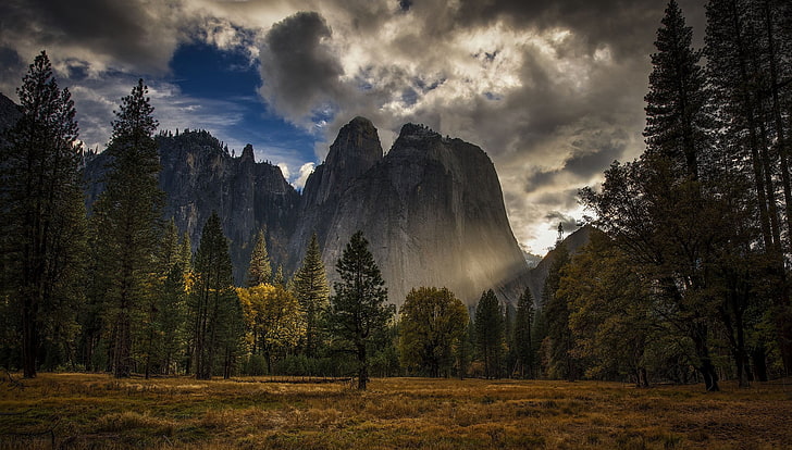 nature, landscape, mountains, Yosemite National Park, USA, trees, forest, sunlight, clouds, field, grass, HDR, HD wallpaper