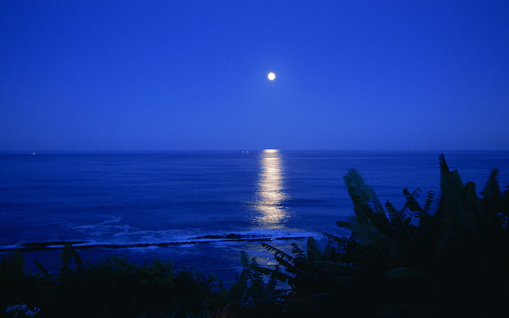 moon, night, ocean, reflection, sea, HD wallpaper