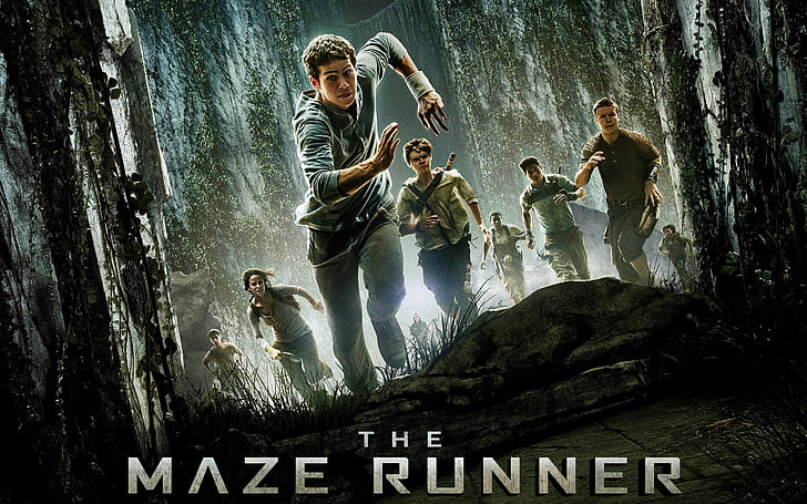 The Maze Runner, maze, runner, HD wallpaper
