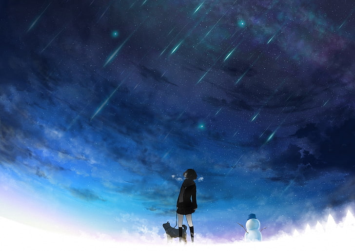 mujer en vestido negro al lado del perro fondo de pantalla de anime, invierno, el cielo, estrellas, nieve, perro, arte, niña, muñeco de nieve, lluvia de meteoritos, tokiti, Fondo de pantalla HD