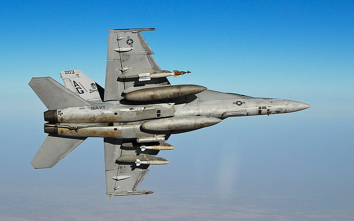 FA 18F Super Hornet Fighter HD, chasseur, super, avions, frelon, fa, 18f, Fond d'écran HD