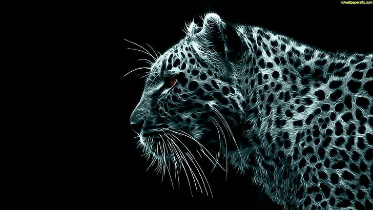 Свет тигра, бело-черный леопардовый рисунок, леопард, свет, дикий, животные, HD обои