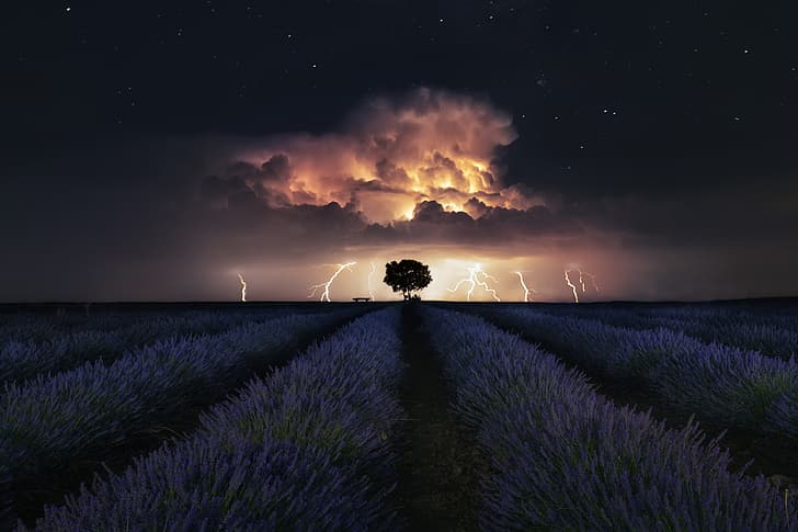 the storm, stars, lavender, thunderstorm, Ces@r, HD wallpaper
