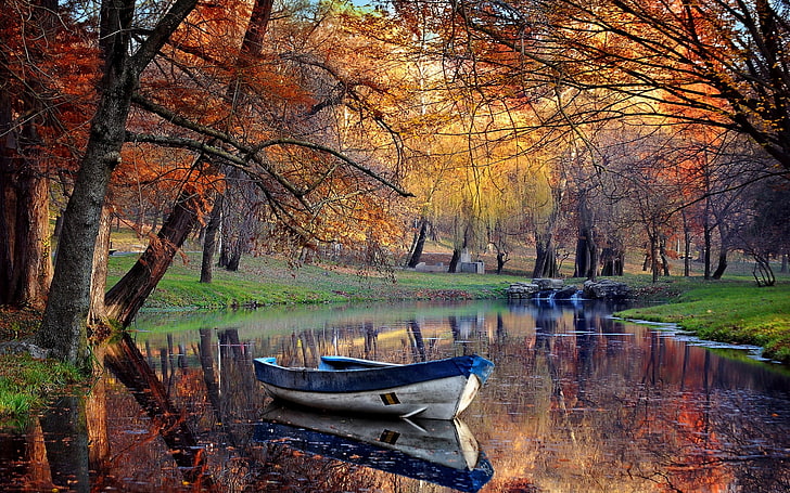 белое и голубое деревянное каноэ, картина белого и синего деревянного каяка, пейзаж, осень, лодка, парк, пруд, отражение, деревья, природа, вода, трава, HD обои