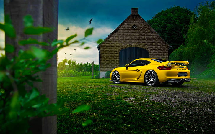 Porsche Cayman GT4 жълт суперавтомобил, къща, дърво, трева, жълто спортно купе, Porsche, жълто, Supercar, къща, дърво, трева, HD тапет