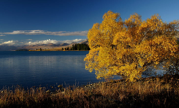 yellow leaf tree near body of water during daytime, lake tekapo, lake tekapo, Lake Tekapo, NZ, yellow, leaf, tree, body of water, daytime, New Zealand, Autumn, Sony Alpha, Public Domain, Dedication, CC0, geo tagged, photos, lake, nature, mountain, landscape, scenics, outdoors, sky, HD wallpaper