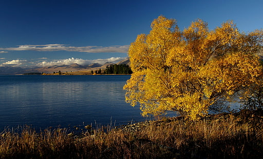 yellow leaf tree near body of water during daytime, lake tekapo, lake tekapo, Lake Tekapo, NZ, yellow, leaf, tree, body of water, daytime, New Zealand, Autumn, Sony Alpha, Public Domain, Dedication, CC0, geo tagged, photos, lake, nature, mountain, landscape, scenics, outdoors, sky, HD wallpaper HD wallpaper