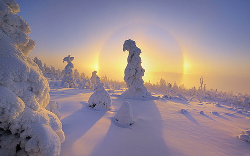 Gambar Winter Snow Sunset Gratis, matahari terbit - terbenam, gambar, salju, matahari terbenam, musim dingin, Wallpaper HD HD wallpaper