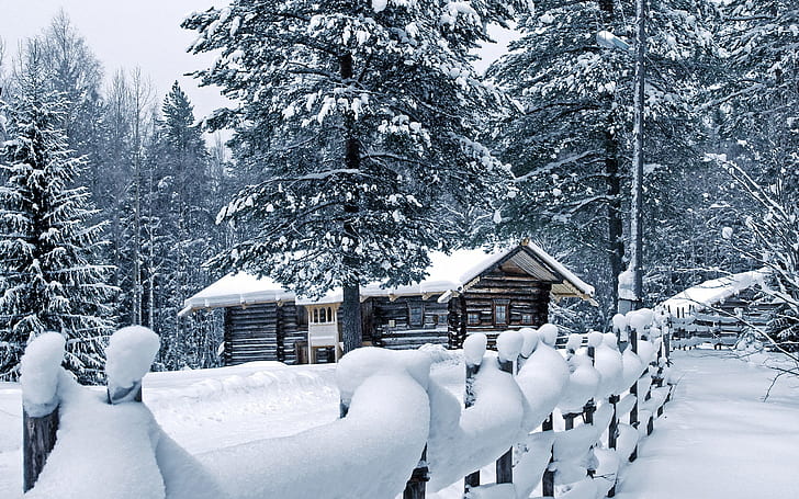 오두막 나무 숲 눈 겨울 울타리 HD, 자연, 나무, 눈, 숲, 겨울, 울타리, 오두막, HD 배경 화면