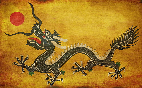 dragão, dragão chinês, HD papel de parede HD wallpaper