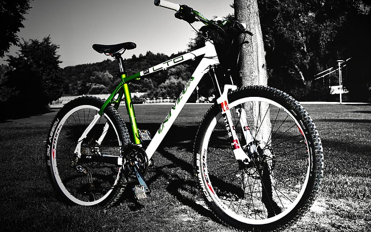 Nice Mountain Bike, vélos, sport, Fond d'écran HD
