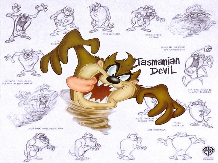 Programa de televisión, Looney Tunes, Demonio de Tasmania (Looney Tunes), Fondo de pantalla HD
