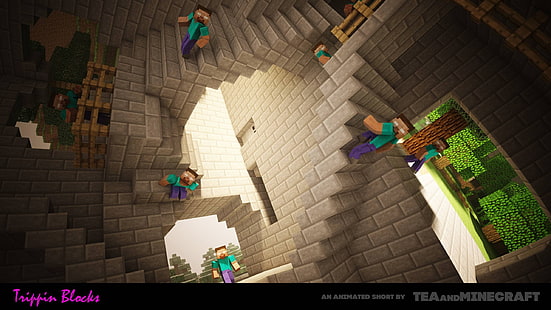Aplikacja do gier Minecraft, animowany krótki zrzut ekranu Minecraft Trippin Blocks, Minecraft, Herobrine, gry wideo, Tapety HD HD wallpaper