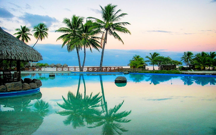 две кокосови дървета, природа, пейзаж, басейн, отражение, палми, курорт, вода, лято, HD тапет
