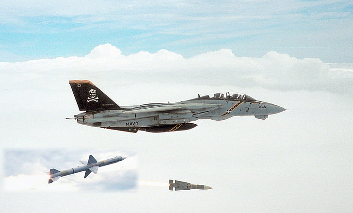 szaro-czarny piracki odrzutowiec granatowy, Jet Fighters, Grumman F-14 Tomcat, Tapety HD