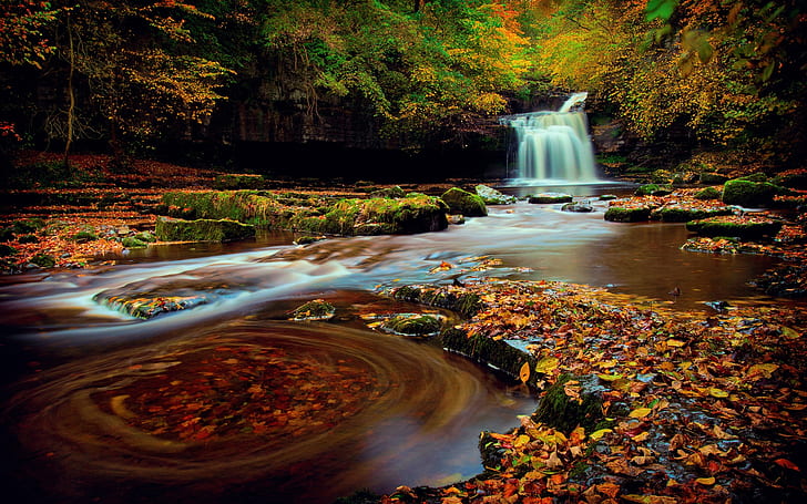 Northern England, Yorkshire, forest, waterfall, foliage, autumn, water, Northern, England, Yorkshire, Forest, Waterfall, Foliage, Autumn, Water, HD wallpaper
