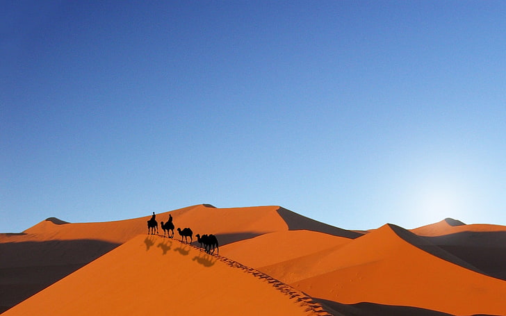 иллюстрация пустыни, пустыня, верблюды, небо, песок, пейзаж, HD обои