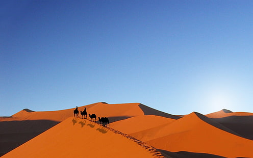 ilustração do deserto, deserto, camelos, céu, areia, paisagem, HD papel de parede HD wallpaper