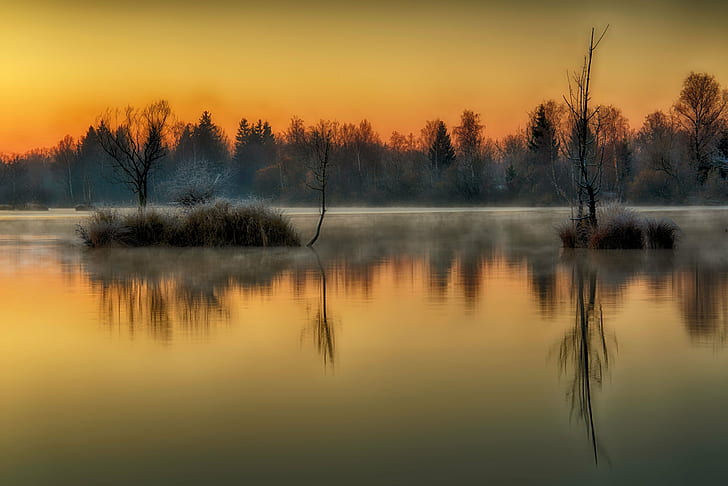 grasses on lake during sunset, Chasing, Light, grasses, lake, sunset, sunrise, sun, winter, morning, morgens, Morgen, früh, colourful, islands, Outdoor, Wasser, landscape, Nikkor, ngc, Nikon, nature, autumn, reflection, tree, water, forest, outdoors, tranquil Scene, scenics, river, sky, beauty In Nature, season, orange Color, sunlight, HD wallpaper